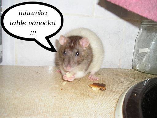 misa_babicce.jpg